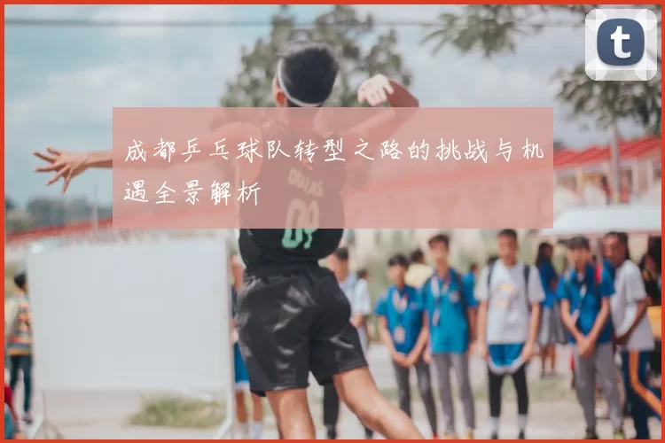 成都乒乓球队转型之路的挑战与机遇全景解析