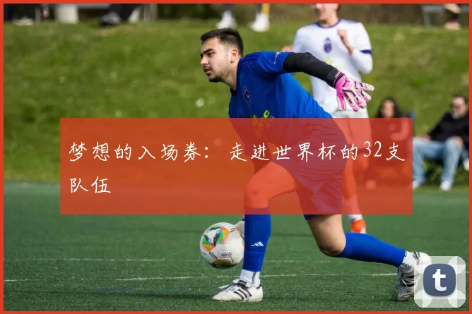 梦想的入场券:走进世界杯的32支队伍