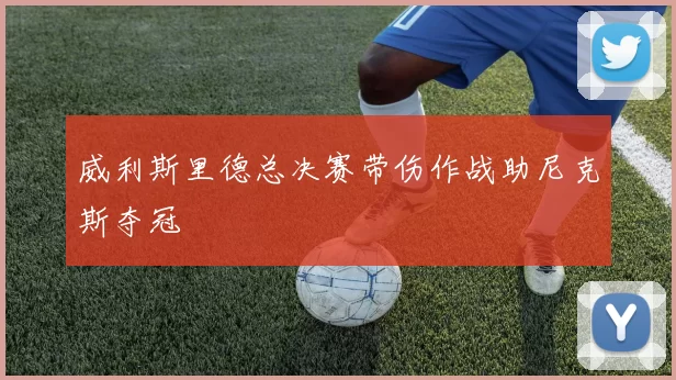 威利斯里德总决赛带伤作战助尼克斯夺冠