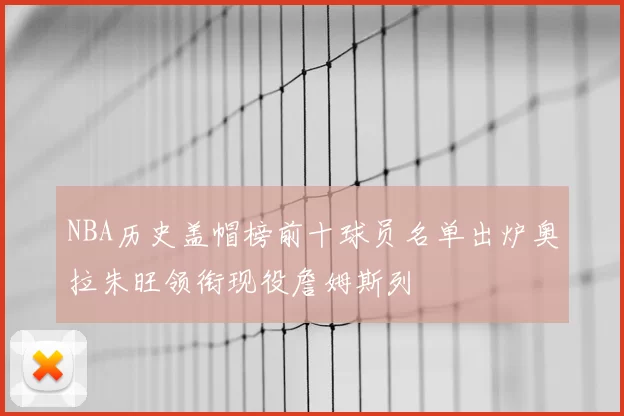 NBA历史盖帽榜前十球员名单出炉奥拉朱旺领衔现役詹姆斯列