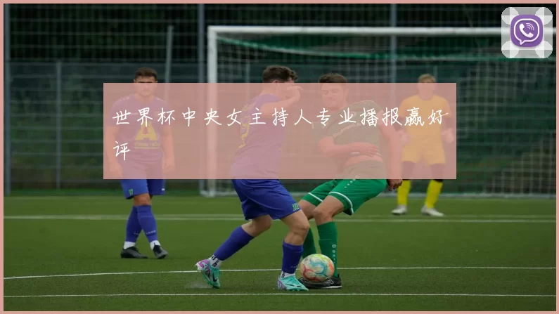 世界杯中央女主持人专业播报赢好评