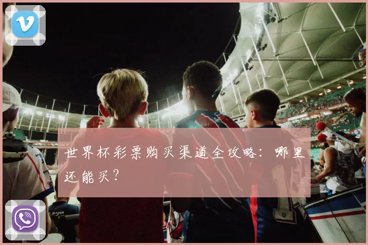 世界杯彩票购买渠道全攻略：哪里还能买？