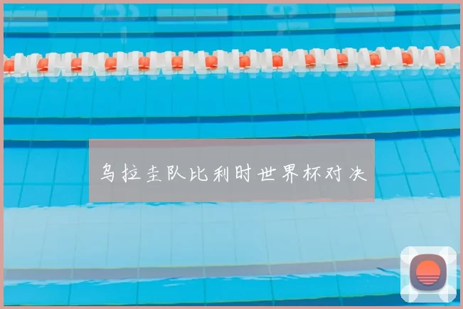 乌拉圭队比利时世界杯对决