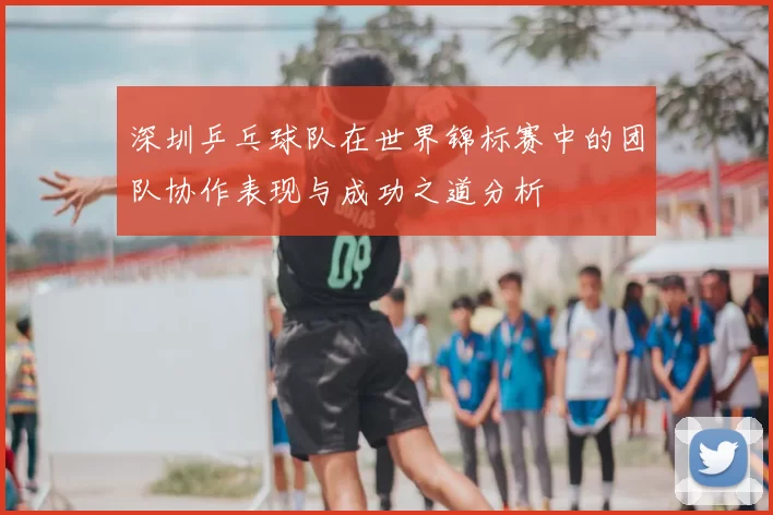 深圳乒乓球队在世界锦标赛中的团队协作表现与成功之道分析