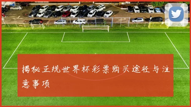 揭秘正规世界杯彩票购买途径与注意事项