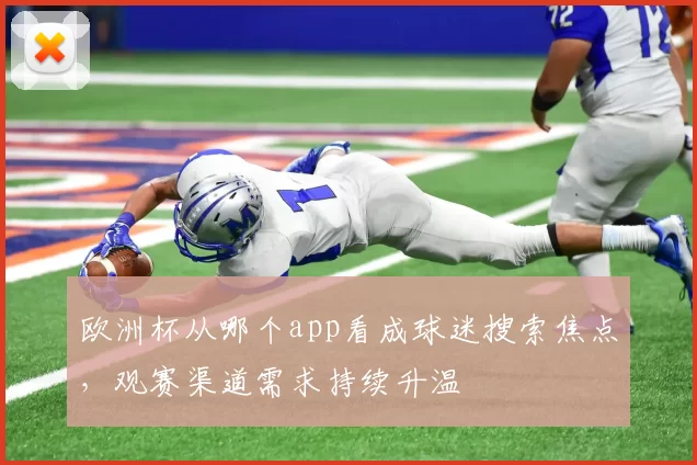 欧洲杯从哪个app看成球迷搜索焦点，观赛渠道需求持续升温