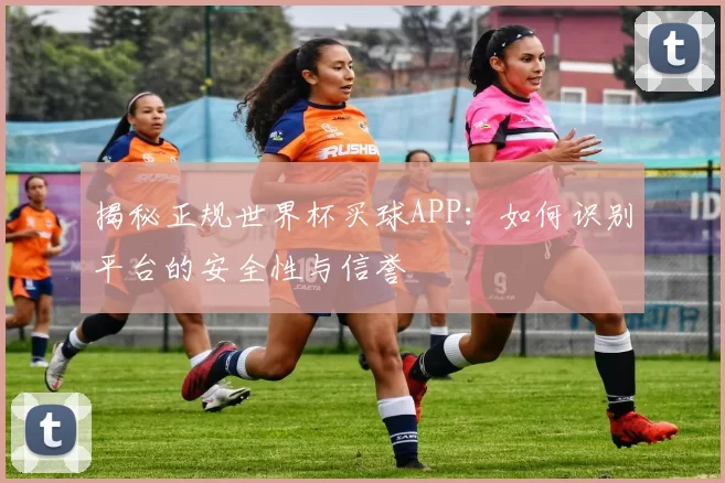 揭秘正规世界杯买球APP:如何识别平台的安全性与信誉