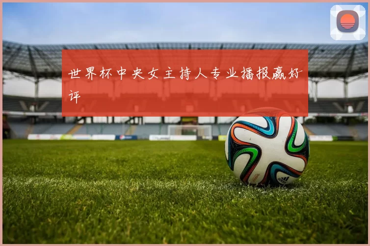 世界杯中央女主持人专业播报赢好评