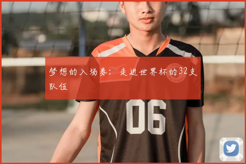 梦想的入场券:走进世界杯的32支队伍