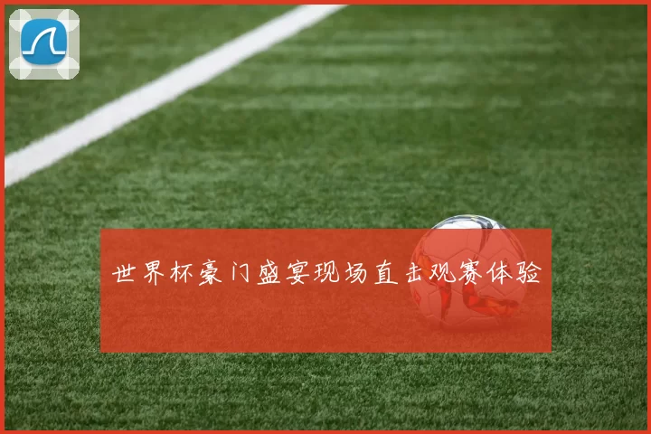 世界杯豪门盛宴现场直击观赛体验