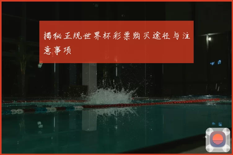 揭秘正规世界杯彩票购买途径与注意事项