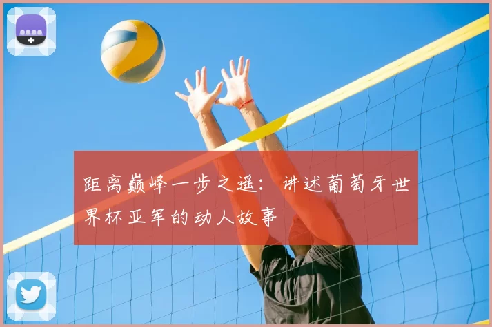 距离巅峰一步之遥：讲述葡萄牙世界杯亚军的动人故事