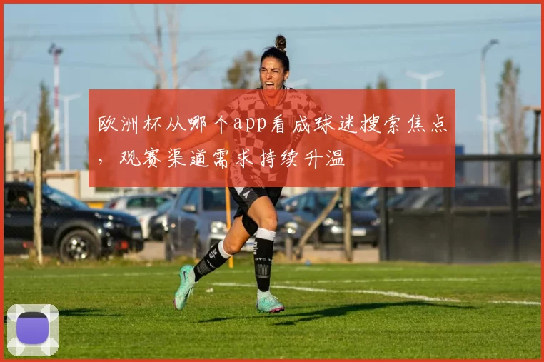 欧洲杯从哪个app看成球迷搜索焦点,观赛渠道需求持续升温