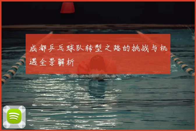 成都乒乓球队转型之路的挑战与机遇全景解析