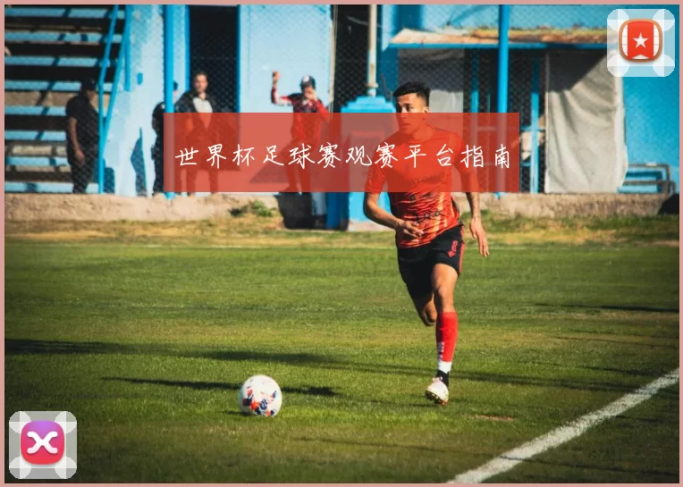 世界杯足球赛观赛平台指南