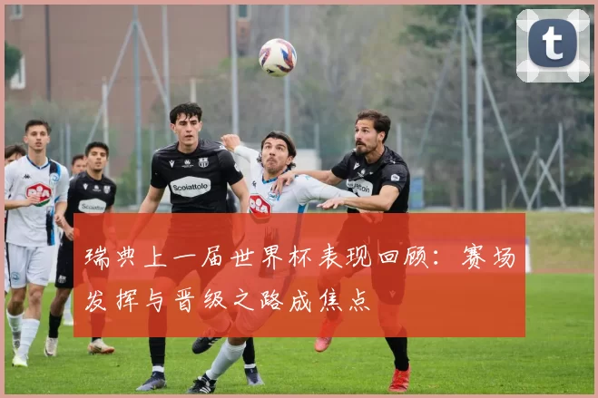 瑞典上一届世界杯表现回顾：赛场发挥与晋级之路成焦点