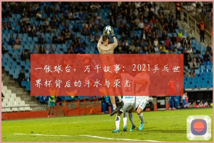 一张球台，万千故事：2021乒乓世界杯背后的汗水与荣光