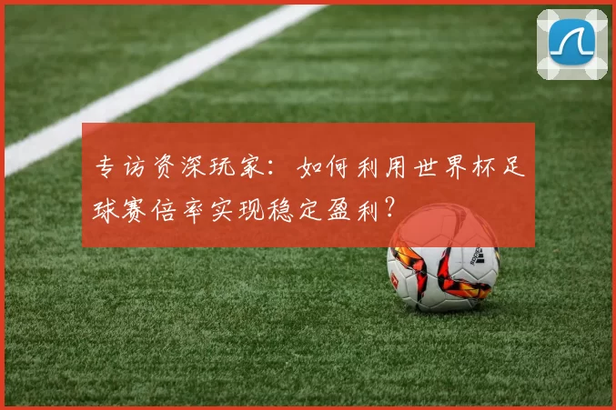 专访资深玩家:如何利用世界杯足球赛倍率实现稳定盈利?