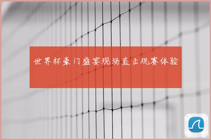 世界杯豪门盛宴现场直击观赛体验
